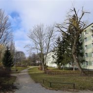 Mieszkanie na wynajem